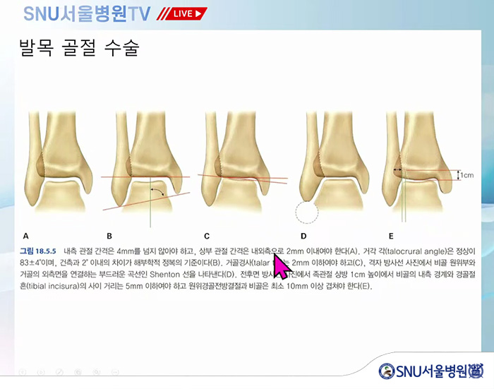 16121c01badc5cb5c03f9e7a1319dd70_1772069515_9964.jpg 16121c01badc5cb5c03f9e7a1319dd70_1772069515_9964.jpg